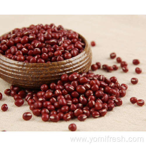 Red Bean Gluten Free